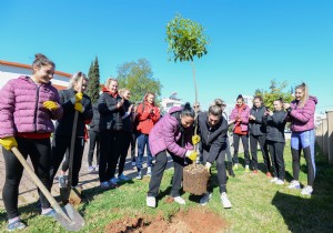 Paann Melekleri, turun fidan Dikerek  Orman Haftasn kutlad